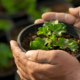 SSE_Blog_1_44