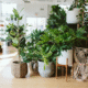 Untitled design (12)
