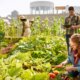 Group of gardeners tending to organic crops at community garden and picking up a basket full of fresh produce from their small business SSUCv3H4sIAAAAAAAEAI1WTY+kNhC9R8p/aHEeIhvjr5yjnHOP9mDAdFsDGBkzk9Fq/nsK6O6BMtnNpWewq+yqV6+e6/uvv1wuWWUmV2e/X74vX/Dtum6eYjDR+QGWyct93TYu+uBMtywua5/rTjZFE+fJTssR96XaRHsF223x7v+45+/t+/LYWDfBA7ayv6wfO5u97HamuVp2ssfS58sP/P/0vrmYobn8Edzw+uNztn++PdIzVzvUH1/xwlLro++c2ccMq5QUiv1GCSvp8svV88hvz/uyJljTT9H1FnszeQjr8EEJ/Tps++dzh3SwnTUb0vcjM2prWxaqyqVt27xkNctVYeu8bS0rWy6ZLMjjiqyhthVNY/K6oDYvNW1zQ0iV66ZS1BhjpVBPY04MY6pQuWCszMu2knlV1SLXZWm0rYxVgq/Bbllnr+/Rhn5f8Guwdrh54MYeg0xSqlmG0PfhaoYjPTJFyBOPp+Gbvdpoqm6PAiyLQkqCbafedN2lmic32AnZEw6FQPatCb0NRzsKGGC7ztdrF+xClaqkX6XMKJUPeHZ+VxMaO7jherxC8lJh0zH4Zq5tkiPfXXKac+3Hj2k0yFUprpJ0Nyihowdkq0QSD9hiM8GpksmhNxPeLBAfJ0kVE0mSNkx+QHUhpNznyBVJyHIz4/iB3Kg4QEM00efwH7kotRB7v7NarDxGlaAyycbPsfE+JDxT/83hEwq/oNjO4UWOirJ9EmdYm2tw9dzFOaBbSakOCADhE1K1IKsY7+LgBVVLqDC6+jXhAZNlEtsAD0hAHQXApYUHUe0u4/ZG7I0pUbJI2q2Gh8A1yFCyNNDe/WObS8BNI2jBEzL0gKGz8YbF6tTYvw9YT7hMi7roDjqs1IeKrkVCXvCevlrEBCJFUrwArzlWViV1omrvvkctrpfuOzGz/8Os9n0/Dy5+/FgnC0JV0qgTRGzcYCrX4QM4Z1rr5LabD/Gc3lwVQhwUhfCS/azlT5DgSRtfg39P+E0KdrgNejNB+oTBm+4huzlUBsvjAtfX8aoUPDl+sl2XxCUKTQ/issSJHOMNlA7lXabP3ypdEfUVFSxB0eYLC2xAfXV6d+OuLiIN0IoX8lg6APPQFmn2wfs2+vEYHqgVSfRhsURtx2lCxgiDHC6xSrUGiDrVZsRVpfqMNvOIUZZP8JY/93nvzTXW78ZqMzfO7wast2UOWd4btnMaQee36j/cfLytKvSczqG9fL9bGHxcx6n7MJo1ML4vn5RRVsCwpgvCCya0uIMPI78HaW/2I/8qtFlbKF0RU+clXX4IE3llYMKE51I3uq6ltA0k+vkvVzQPPnoMAAA=