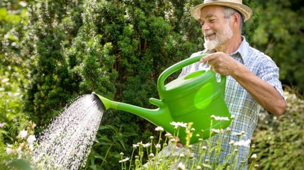 8_7_2021-Home-and-garden-maintenance_210708_064209