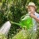 8_7_2021-Home-and-garden-maintenance_210708_064209