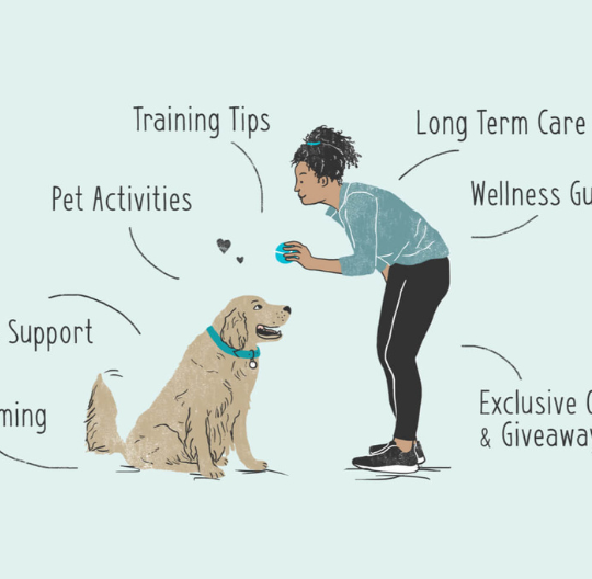 Untitled design (30)