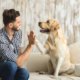 shutterstock_499979860-1400x480@2x-1024x684