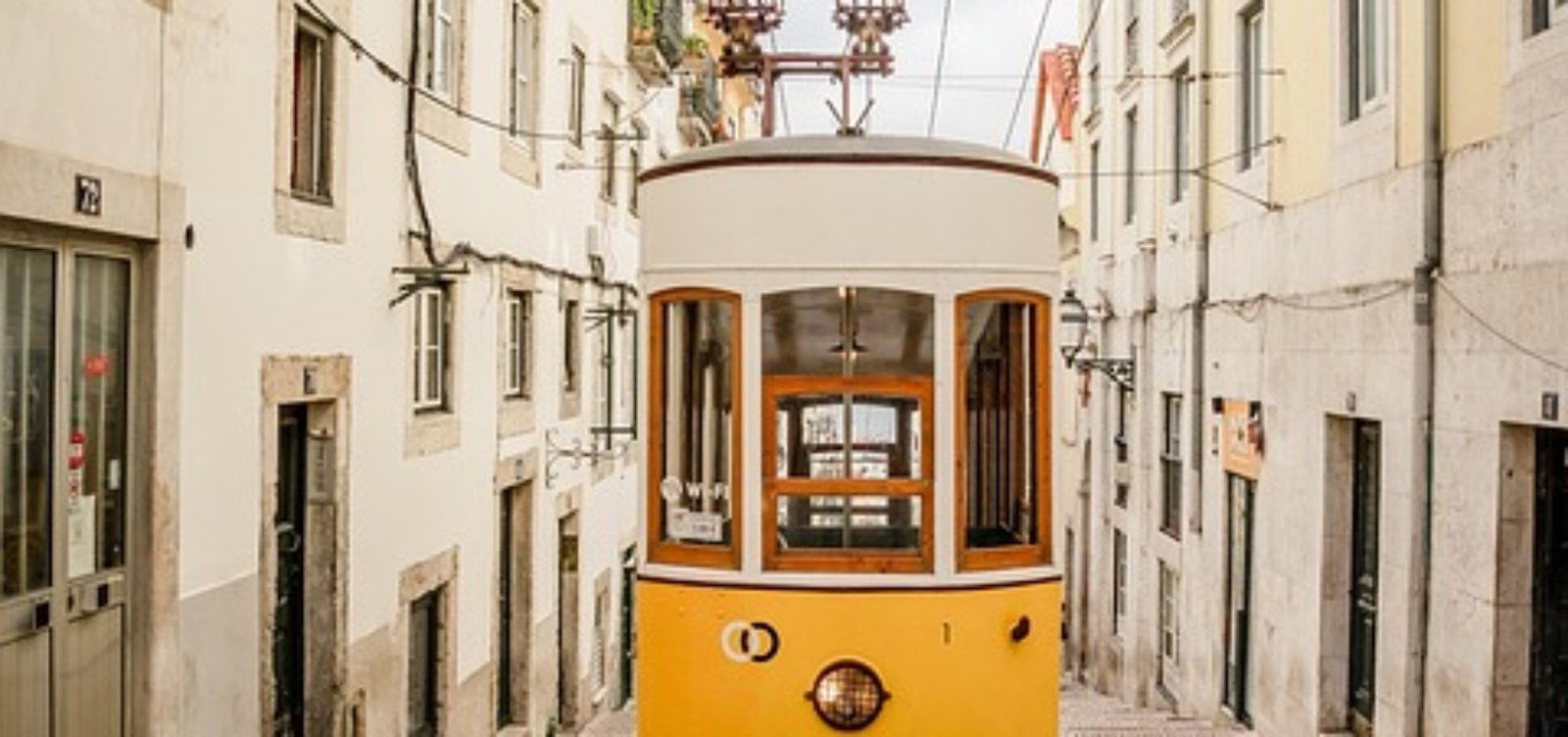 [Travel]