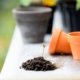 plant care guide