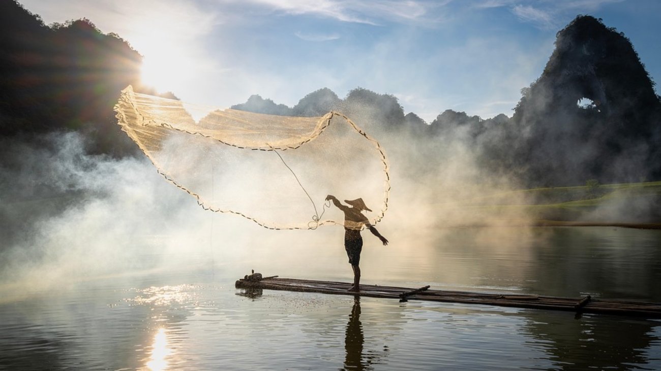 fishing-9246364_960_720.jpg