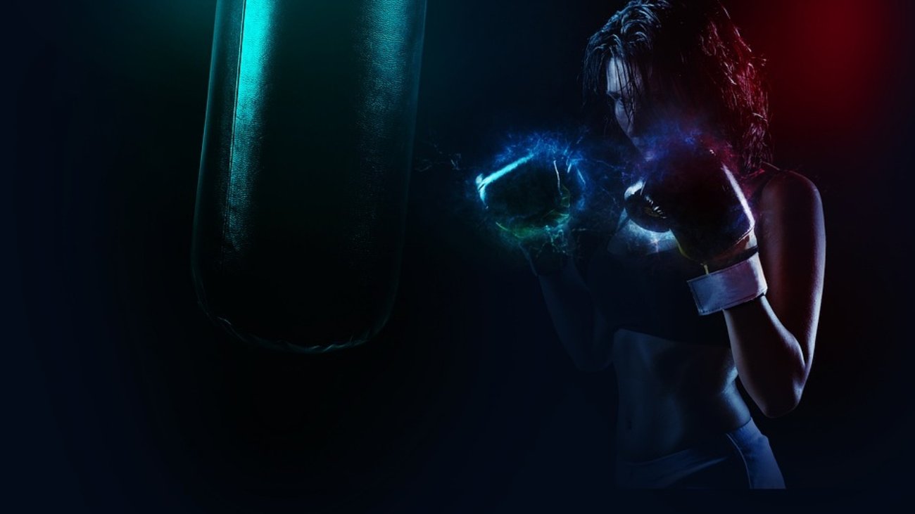 boxer-1984344_960_720.jpg