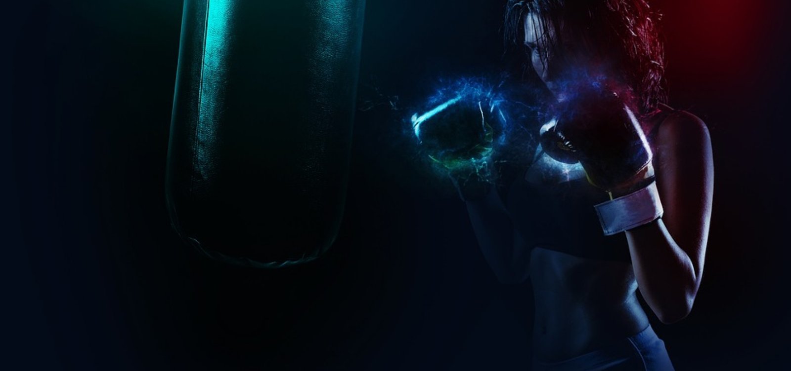 boxer-1984344_960_720.jpg