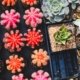 [Plants]