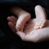 newborn-2579144_960_720.jpg