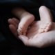 newborn-2579144_960_720.jpg