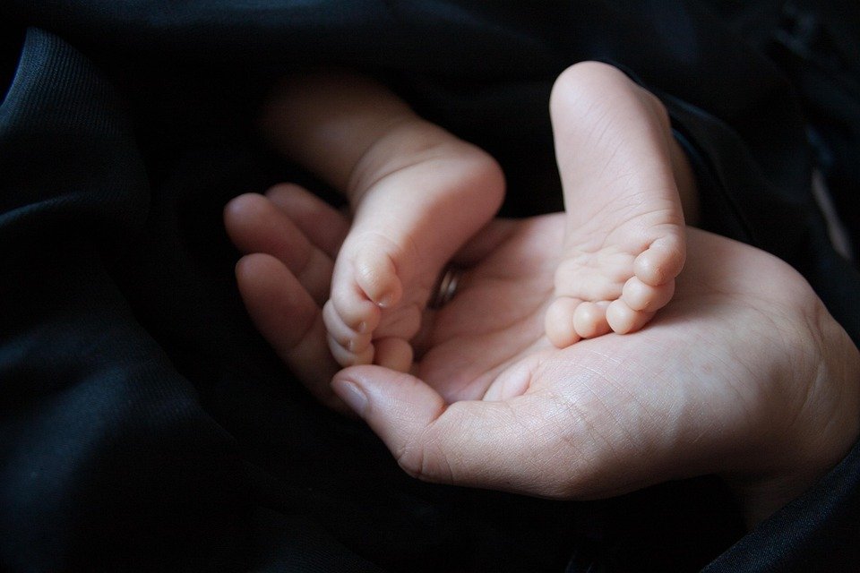 newborn-2579144_960_720.jpg
