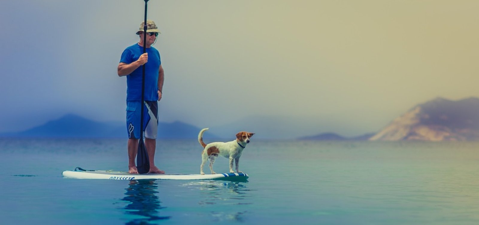 standup-paddleboarding-1838969_960_720.jpg