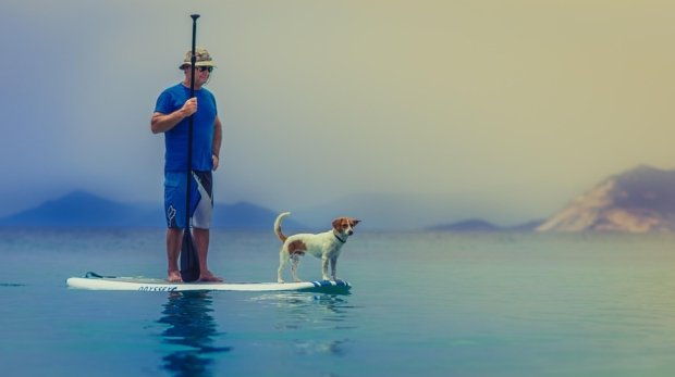 standup-paddleboarding-1838969_960_720.jpg