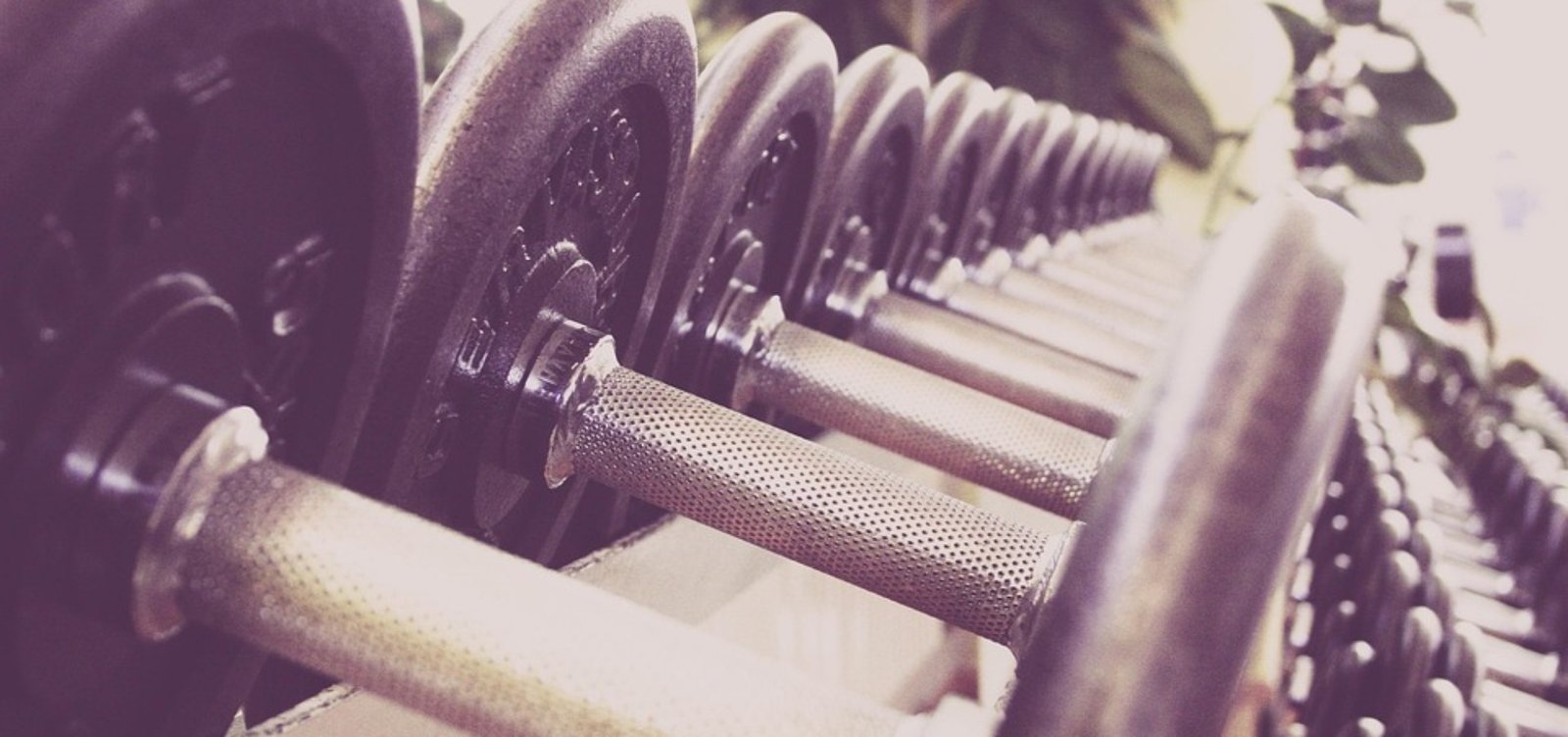 fitness-594143_960_720.jpg